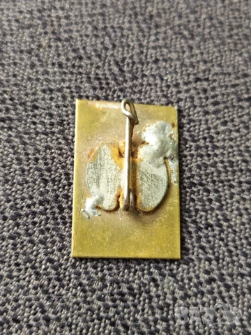 Бронзова соц. значка - Отрядник 25 г. ДОТ , снимка 2 - Колекции - 44855733