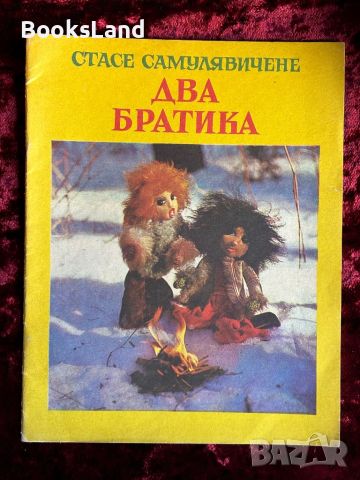 Два братика , снимка 1 - Детски книжки - 46558840