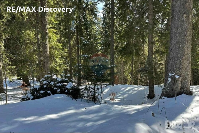 Урегулиран поземлен имот - За продажба - к.к. Пампорово, Област Смолян, снимка 3 - Парцели - 52278178