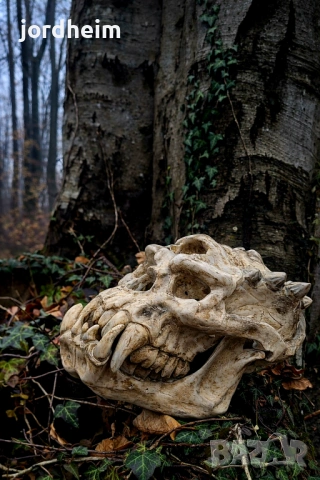 3D фентъзи черепи. 3D Fantasy realistic skulls dark fantasy, снимка 8 - Декорация за дома - 53940500