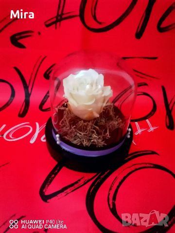 Вечна роза, снимка 2 - Романтични подаръци - 45805655