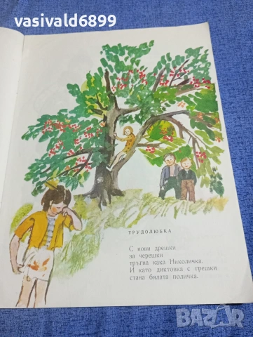 Цветан Ангелов - Весели залъгалки , снимка 6 - Детски книжки - 54239863