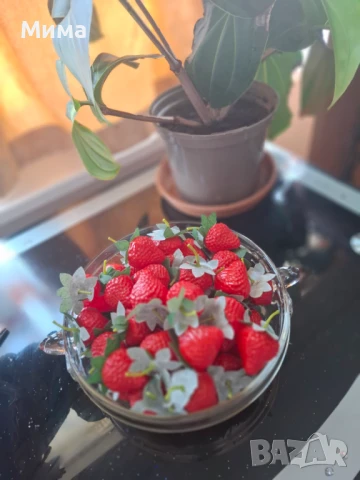 Изкуствени резенчета плодове, снимка 11 - Декорация за дома - 51359601