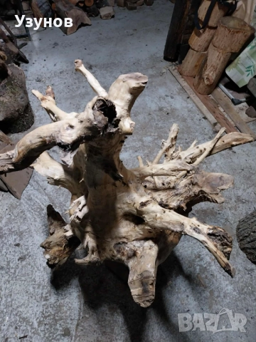 Декорация -корен от дъб, снимка 3 - Декорация за дома - 52513802