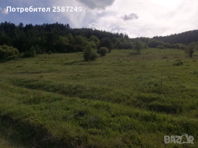 Изкупуваме земя,пасища ,ливади и идеални части 