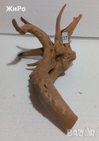 Корен от Азалия /декорация/ 27, снимка 2 - Други - 48966075