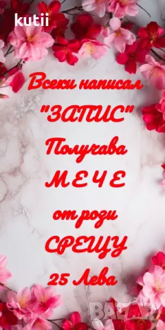 🔥САМО СЕГА!🔥ВСЕКИ НАПИСАЛ ЗАПИС ПОЛУЧАВА МЕЧЕ ОТ РОЗИ 🔥ПРОМО ЦЕНА 24.99 лв🔥, снимка 1 - Подаръци за жени - 48703400