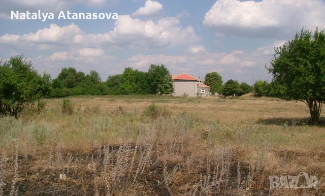 Парцел за продажба в Бдинци, Добрич, снимка 4 - Парцели - 53635006