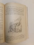 Животнитѣ от биологично гледище - Борис Митов (1935, Луксозна изработка, Отлично състояние), снимка 4