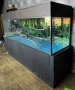 Огромен аквариум 1170 литра със шкаф-250см., снимка 3