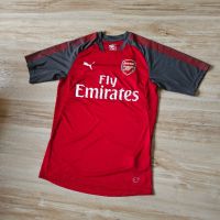 Оригинална мъжка тениска Puma DryCell x F.C. Arsenal, снимка 2 - Тениски - 45876878