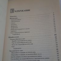 Учебник Практическа испанска граматика с упражнения и отговори, снимка 3 - Чуждоезиково обучение, речници - 45081109