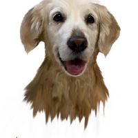 Дигитални портрети на домашни любимци, снимка 9 - За кучета - 45545698