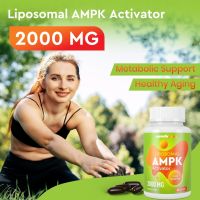 Липозомна AMPK активираща добавка 2000 mg, 6-в-1, 60 капсули, снимка 6 - Хранителни добавки - 45543725
