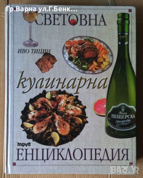 Световна кулинарна енциклопедия  Иво Тицин, снимка 1