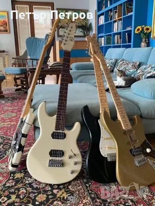 Willow’s Spirit , снимка 1