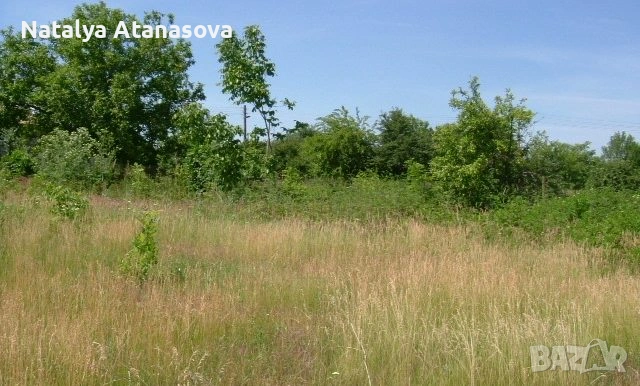 Къща за продажба в Бдинци, Добрич, снимка 7 - Къщи - 53635110