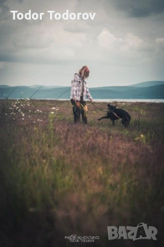 Фотосесия с домашен любимец | Истинска връзка, уловена в кадър, снимка 2 - Ветеринари и услуги - 53926420