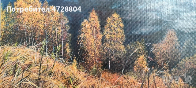 „Изгрев на Соколината планина“, снимка 2 - Картини - 53381842