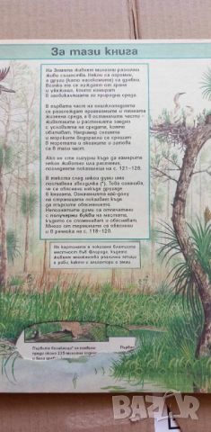 Детска енциклопедия: Живият свят - Лезли Колвин, Ема Спиър, снимка 5 - Детски книжки - 46703813