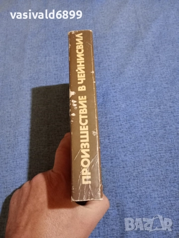 Дейвид Брадли - Произшествие в Чейнсвил , снимка 2 - Художествена литература - 52126142
