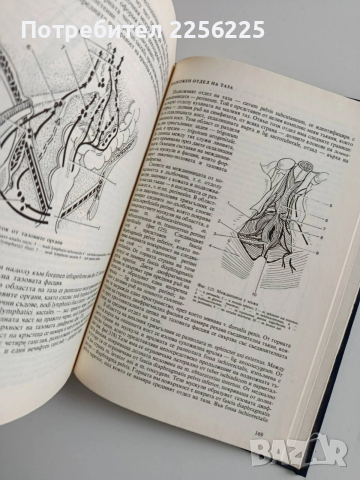Топографска анатомия, снимка 9 - Специализирана литература - 53694125