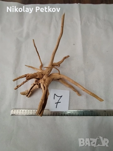 Корени за аквариум, терариум, паладиум , снимка 7 - Аквариуми - 44083269