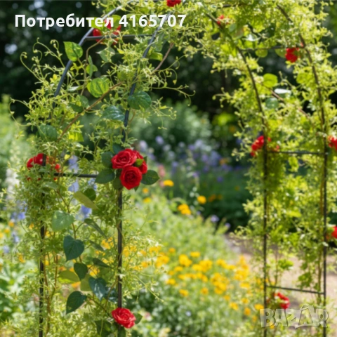 Многофункционална градинска пергола - естетика и стил във всяка градина и събитие, снимка 2 - Градински мебели, декорация  - 53818529