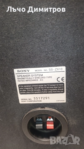 SONY SS-ZX10, снимка 9 - Тонколони - 52968339