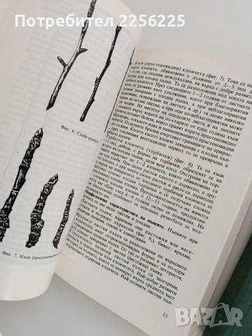 Малка полмология ( 1 и 2), снимка 2 - Специализирана литература - 53154707