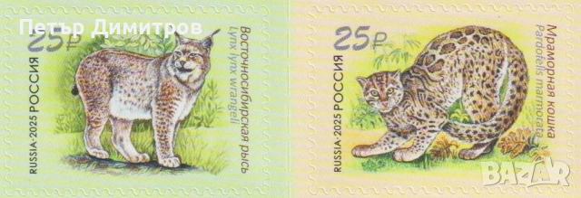 Чисти марки и блокове Пеперуди Влак  Нова Година Космос Постижения Туризъм Фауна 2025 от Русия, снимка 10 - Филателия - 53793512