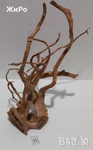 Корен от Азалия /декорация/ 11, снимка 3 - Други - 49875030