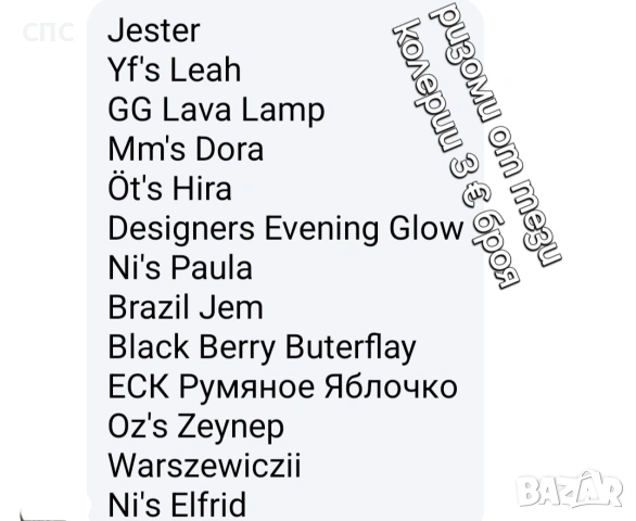 Продавам ризоми,грудки на колерии , снимка 7 - Стайни растения - 53948873