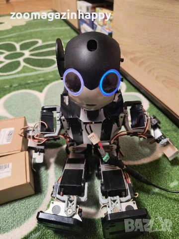 Хуманоиден робот Robi