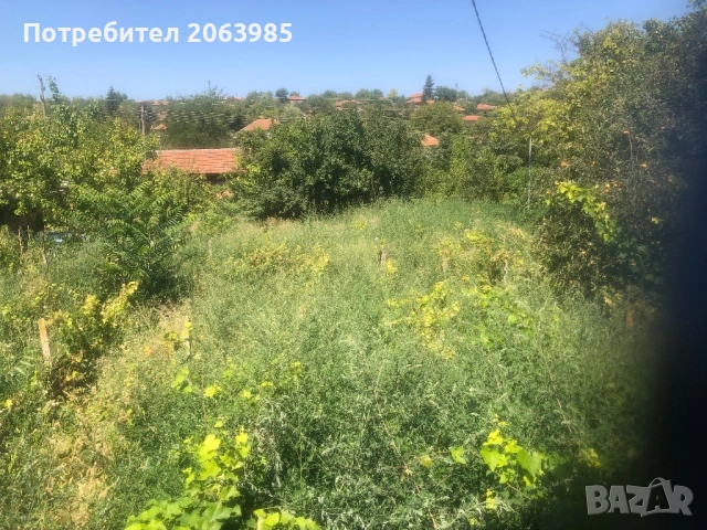 Къща с двор и геран, снимка 11 - Къщи - 53751952