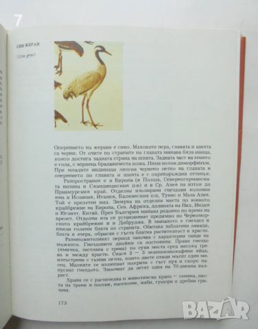 Книга Атлас по зоология: Гръбначни животни - Цоло Пешев, Симеон Симеонов 1993 г., снимка 3 - Други - 46433005
