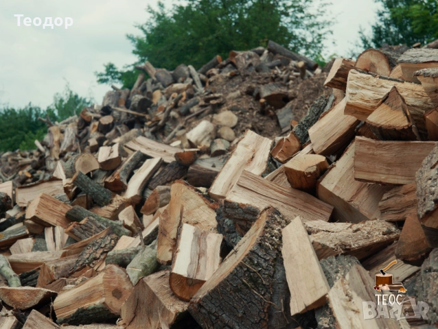 Работа като дървоцепач - борса дърва за огрев, снимка 2 - Складови работници - 51476746