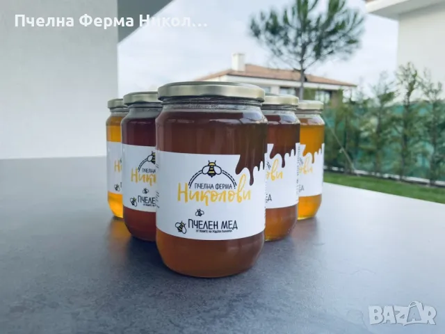 Натурален Пчелен Мед, снимка 1 - Пчелни продукти - 48783622