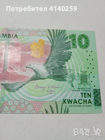 ЗАМБИЯ БАНКНОТА 10 КВАЧИ 2024 Г , снимка 2 - Нумизматика и бонистика - 53300009