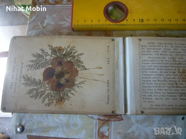 Стара книга за растения, снимка 5 - Антикварни и старинни предмети - 50329309