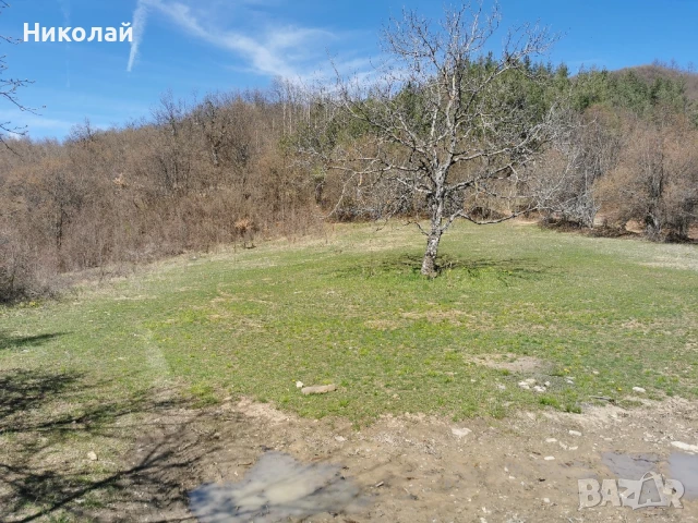 Парцел 3 декара до пътя Голям Извор - Тетевен и пряк път за Гложенски манастир