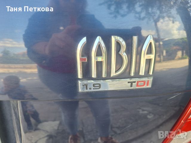 Skoda fabia , снимка 8 - Автомобили и джипове - 46136531