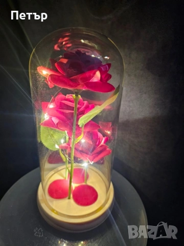 Вечни светещи рози 