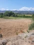 Зем.земя с-ло Струмяни  под Чешмата, снимка 5