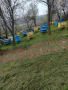 Пчелни кошери, снимка 1 - За пчели - 44845946