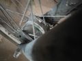 колело велосипед prophete алуминиева рамка вградени скорости и динамо, снимка 2