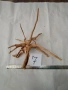 Корени за аквариум, терариум, паладиум , снимка 7