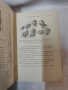 Антикварен медицински атлас по Анатомия (1875 г.) – Dr. Heitzmann 1875 год. , снимка 11