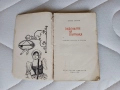 Виденията на скитника - Димо Сяров, снимка 2