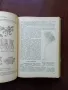 Практическо ръководство по систематика на растенията , снимка 4